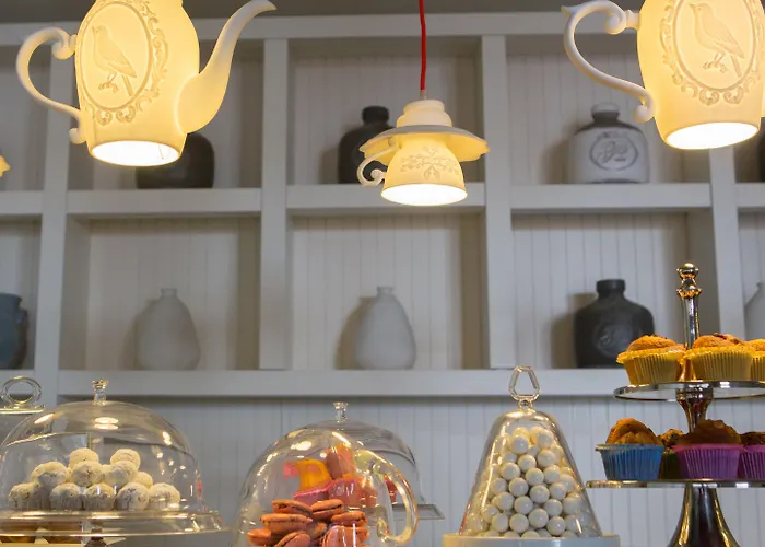 Paloma Marina - Adult Only